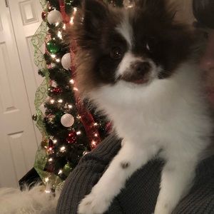 Meet your Posher, Mariah